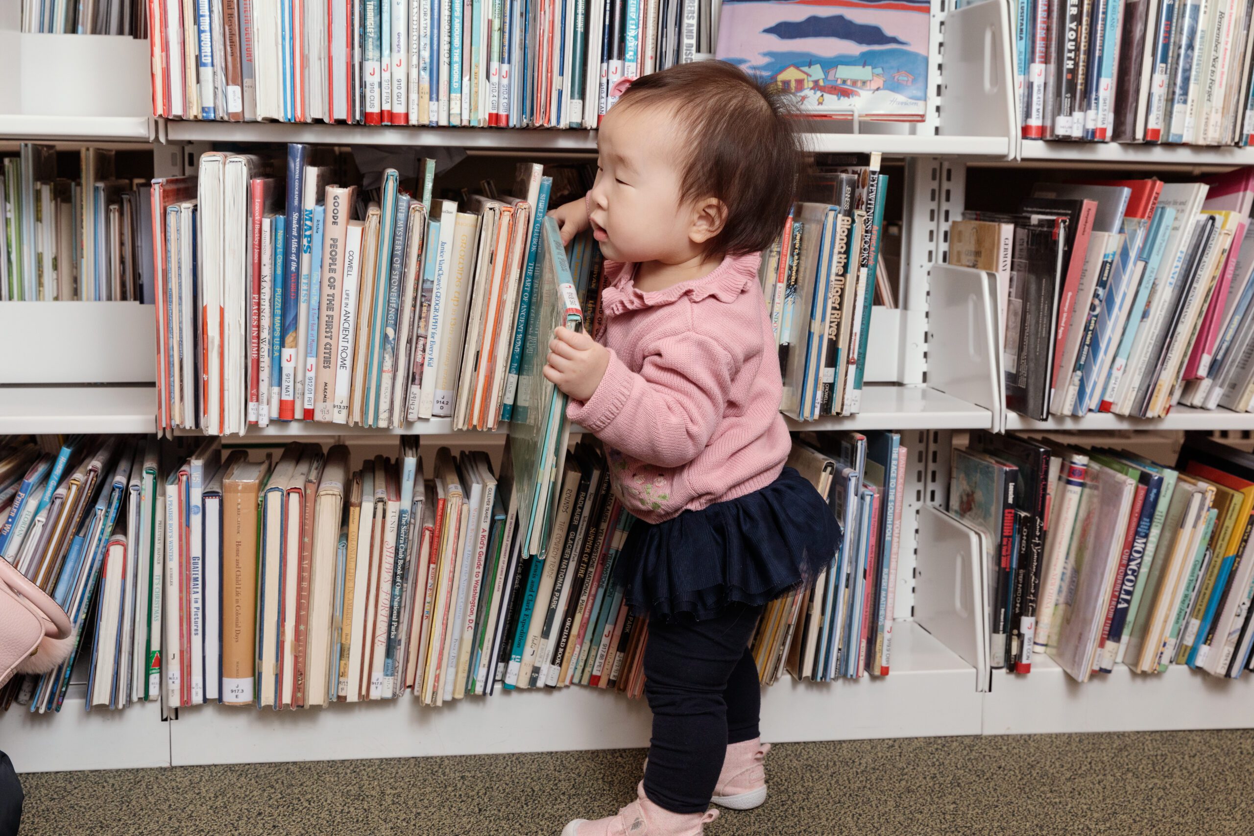 Long Ridge Library Gallery - Pound Ridge Library Foundation